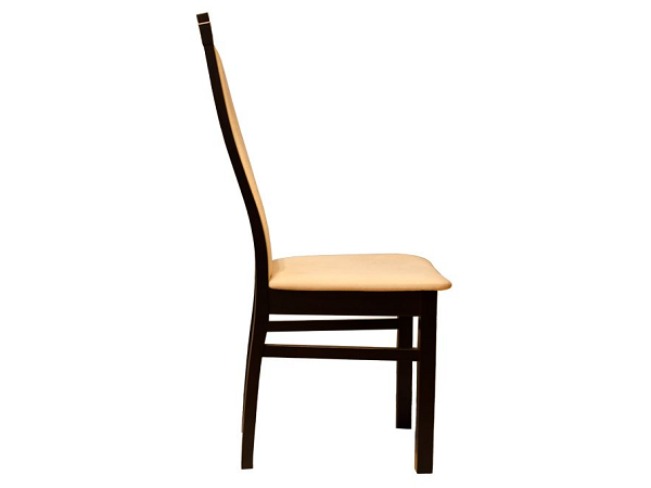 Krzesło IGA 2-1